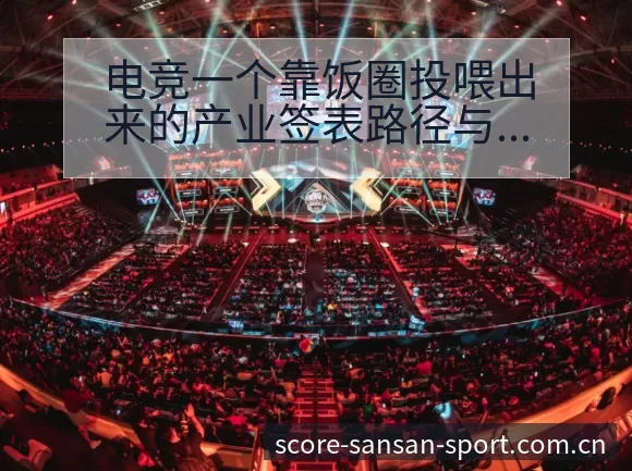 电竞一个靠饭圈投喂出来的产业签表路径与晋级前景历史表现深 - 333体育App