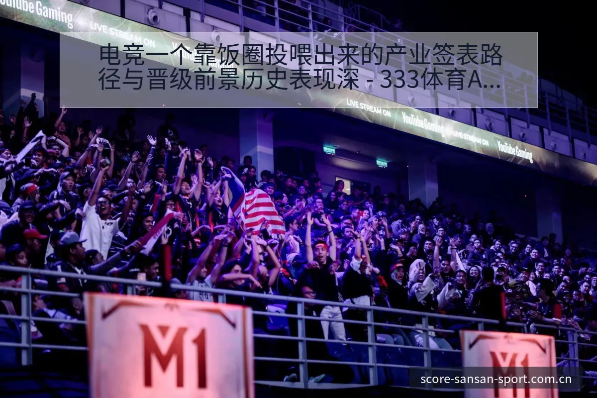 电竞一个靠饭圈投喂出来的产业签表路径与晋级前景历史表现深 - 333体育App